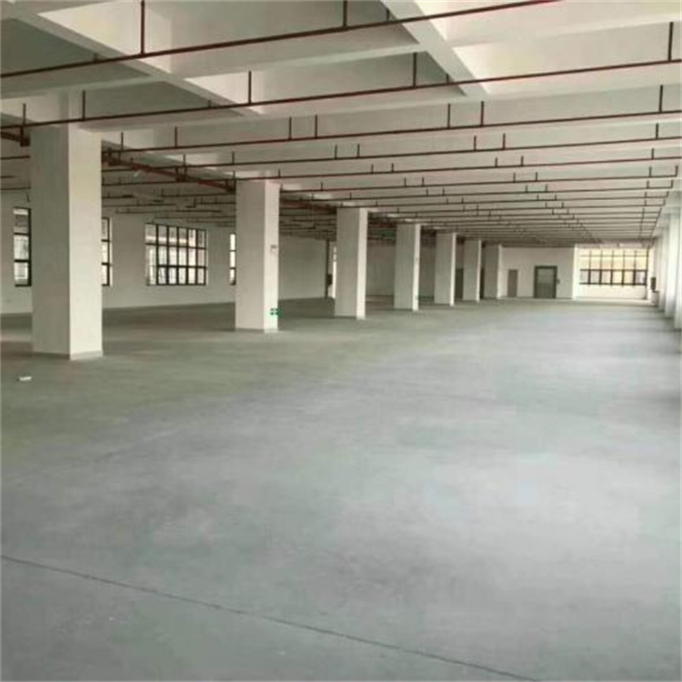 惠州市惠阳迅扬高科园：引领科技创新，助推区域发展